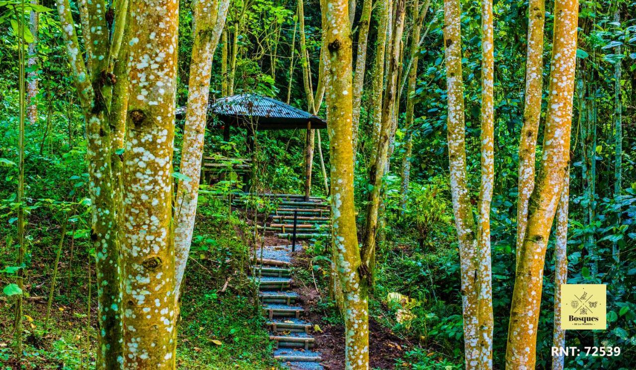 Bosques De La Pradera Hotel Manizales Luaran gambar