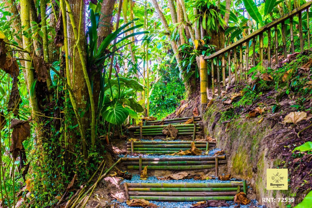 Bosques De La Pradera Hotel Manizales Luaran gambar
